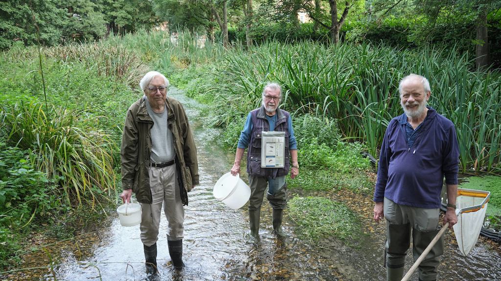 A group of older male volunteers cleaning a river